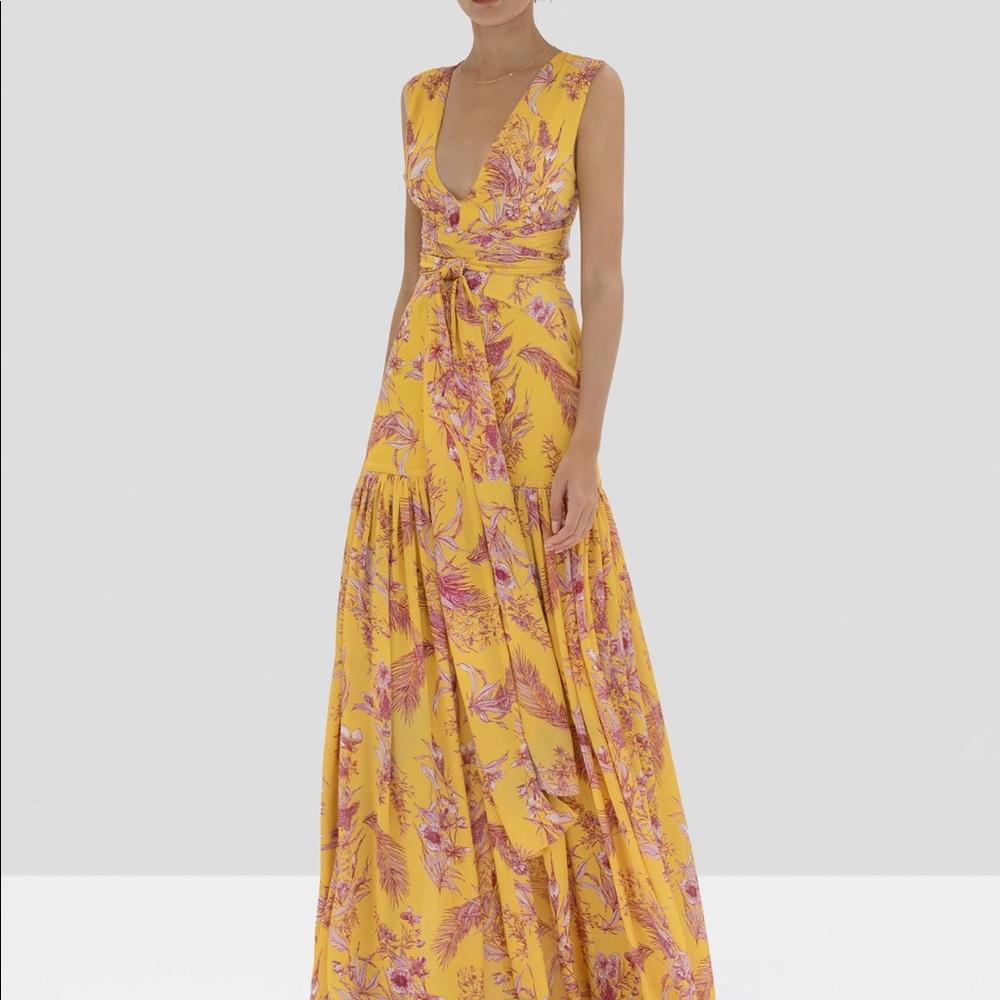 Alexis Belaya Long Dress